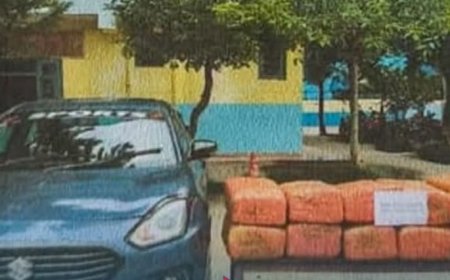 चितवनमा १६८ किलो गाँजासहित दुई जना पक्राउ
