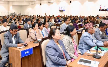 भोटेकोशी-त्रिशूली बाढीबाट भएको क्षतिप्रति प्रतिनिधिसभामा शोक प्रस्ताव र संसदीय समितिहरूमा विभिन्न विषयमा छलफल हुँदै