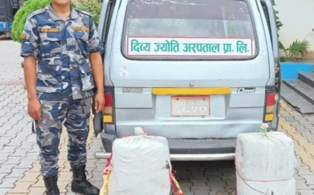 अस्पतालको भ्यान प्रयोग गरेर गाँजा तस्करी: ६० किलो गाँजासहित गाडी नियन्त्रणमा