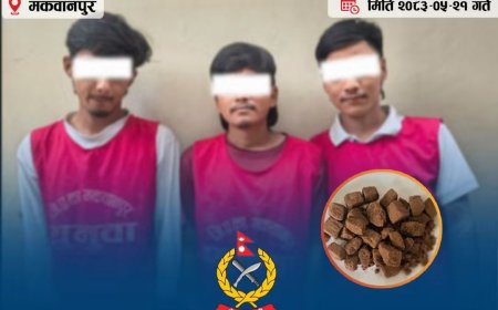 हेटौँडामा ३८ ग्राम खैरो हेरोइनसहित तीन जना पक्राउ