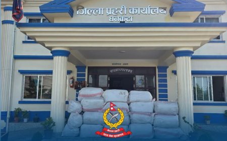 धनकुटामा प्रहरीलाई देखेपछि चालक फरार, ट्रकबाट बरामद भयो १,२४० किलो गाँजा