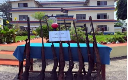 दाङका जंगलमा प्रहरीको ‘सर्च अप्रेसन’ : झाडीमा लुकाइएका ८ नाल भरुवा बन्दुक बरामद