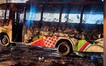 नयाँ बसपार्कमा धादिङ–काठमाडौं रुटको बसमा आगलागी