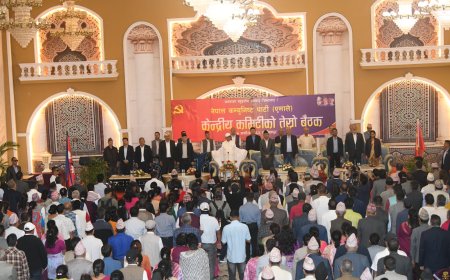 एमाले केन्द्रीय कमिटी बैठकको दोस्रो दिन : आजदेखि केन्द्रीय सदस्यले धारणा राख्ने