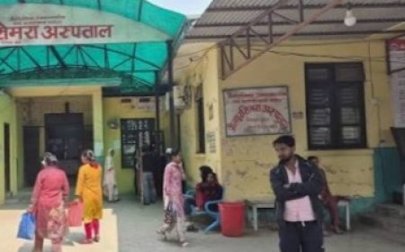 बारामा सर्पदंश उपचार केन्द्रका लागि मनोज पौडेलको पहल सफल, जीतपुरसिमरा अस्पताललाई अनुमति