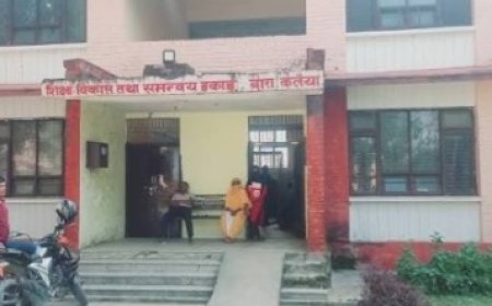 अति भारी वर्षा र बाढी–पहिरोको उच्च जोखिम: बारासहित देशभरका विद्यालयमा बिदा, स्थानीय तहलाई उच्च सतर्कता अपनाउन निर्देशन