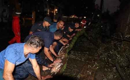 काठमाडौंमा हावाहुरीले रुखको हाँगा खसेर सडक अवरुद्ध, ३० मिनेटपछि सवारी आवागमन सुचारु