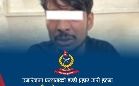 फलामको डण्डीले टाउकोमा प्रहार गर्दा तनहुँमा भारतीय नागरिकको मृत्यु, आरोपी पक्राउ
