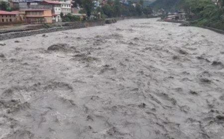 पाल्पामा वर्षाको वितण्डा : पहिरोमा दुई जनाको मृत्यु, तीन बेपत्ता