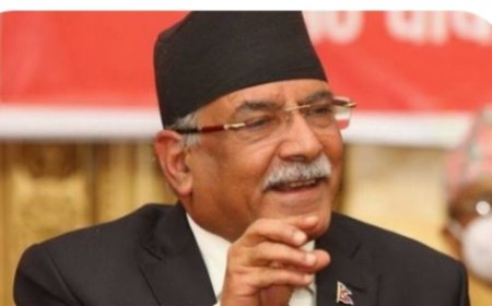 विशिष्ट व्यक्तिलाई विनाकारण पक्राउ गरे सरकारलाई ठूलो मूल्य चुकाउनुपर्छ : प्रचण्ड