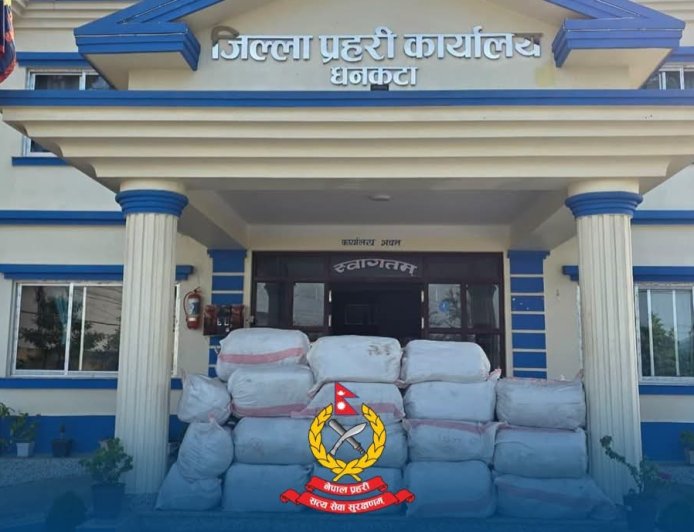 धनकुटामा प्रहरीलाई देखेपछि चालक फरार, ट्रकबाट बरामद भयो १,२४० किलो गाँजा
