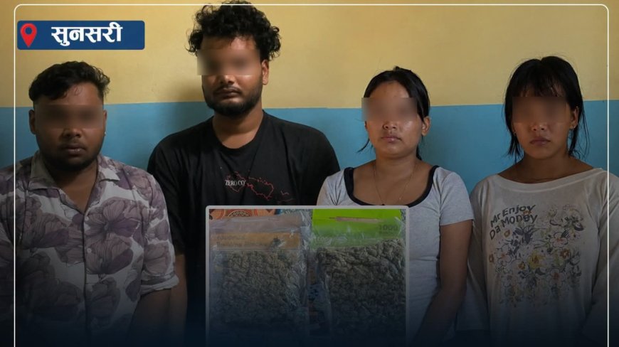 हुलाकको पार्सलमा थाई गाँजा, १ किलो ९१० ग्रामसहित चार जना पक्राउ