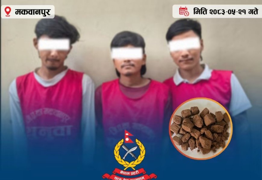 हेटौँडामा ३८ ग्राम खैरो हेरोइनसहित तीन जना पक्राउ