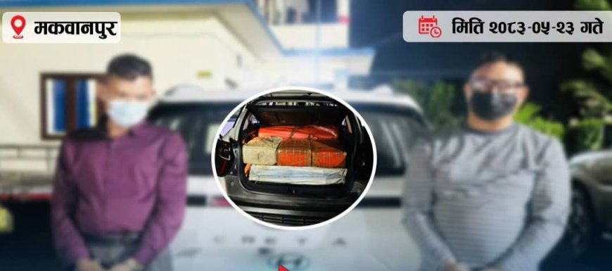 मनहरीमा १६२ किलो गाँजासहित दुई चालक पक्राउ