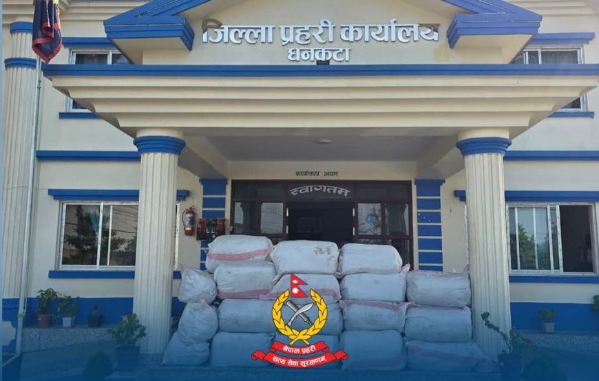 धनकुटामा प्रहरीलाई देखेपछि चालक फरार, ट्रकबाट बरामद भयो १,२४० किलो गाँजा