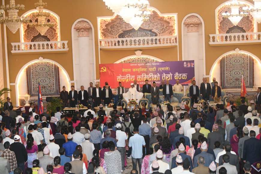 एमाले केन्द्रीय कमिटी बैठकको दोस्रो दिन : आजदेखि केन्द्रीय सदस्यले धारणा राख्ने