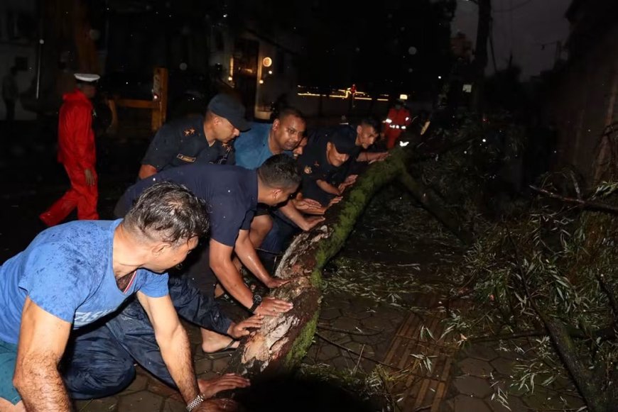 काठमाडौंमा हावाहुरीले रुखको हाँगा खसेर सडक अवरुद्ध, ३० मिनेटपछि सवारी आवागमन सुचारु