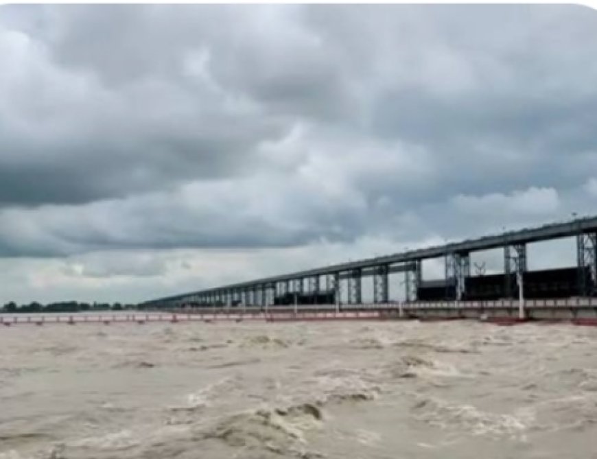 सुनसरीमा अविरल वर्षापछि सप्तकोशीमा पानीको बहाव बढ्दो, कोशी ब्यारेजका ३१ ढोका खोलिए