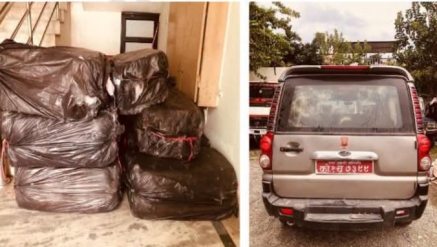 मोरङमा प्रहरी चेकिङ देखेपछि युटर्न गरेको स्कार्पियो दुर्घटनामा, ३९८ किलो गाँजा बरामद