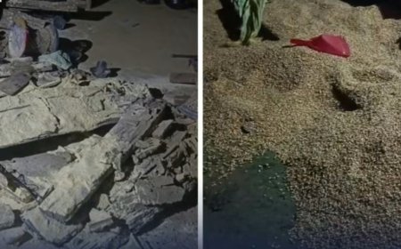 पर्साको ठोरीमा राती बस्ती पसेको हात्तीले मच्चायो त्रास, हजुरआमा–नातिनी घाइते