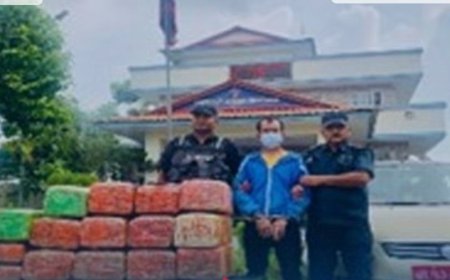 गाँजा बोकेको कार सिमरा प्रहरीकाे नियन्त्रणमा, १५५ किलो गाँजासहित चालक पक्राउ