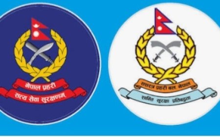 काठमाडौंमा भन्सार जाँचका क्रममा प्रहरी र सशस्त्र प्रहरीबीच विवाद, दुई जवानबीच हात हालाहाल