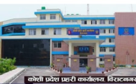 ​पूर्वी नेपालमा प्रहरीको अप्रेशन: झापादेखि ताप्लेजुङसम्म लागू औषधसहित ११ जना समातिए ​(यीमध्ये पहिलो शीर्षक समाचारको