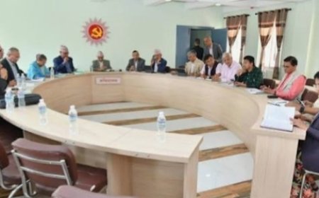 एमाले स्थायी कमिटी बैठकका निर्णय : मंसिरमा राष्ट्रिय भेला, १४ जना केन्द्रीय सदस्यमा मनोनीत