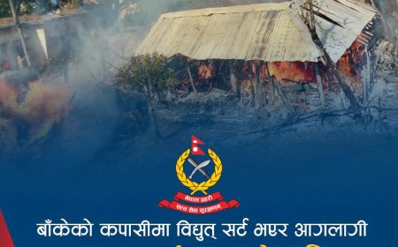बाँकेको कपासीमा विद्युत् सर्ट भएर आगलागी, सात घर पूर्णरूपमा जले
