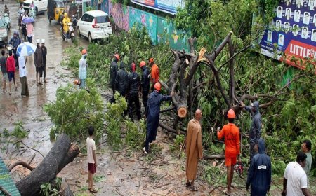 चक्रवात ‘अर्नब’को प्रभाव: भारतको आन्ध्र प्रदेशमा भारी क्षति, १ लाख ८० हजारभन्दा बढी सुरक्षित स्थानमा