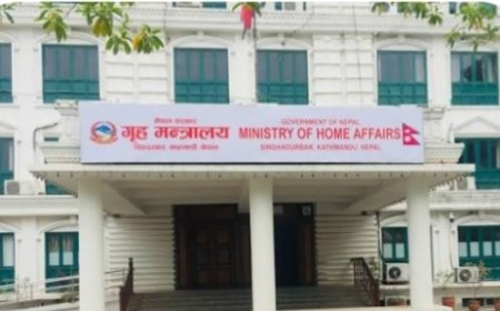 सरकारद्वारा एन–प्याब्सन निलम्बित, संस्थाको नाममा गतिविधि गरे कारबाही हुने चेतावनी
