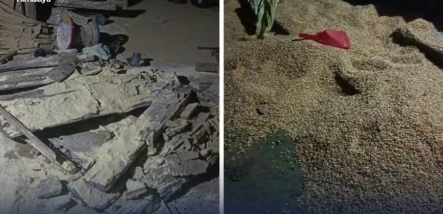 पर्साको ठोरीमा राती बस्ती पसेको हात्तीले मच्चायो त्रास, हजुरआमा–नातिनी घाइते