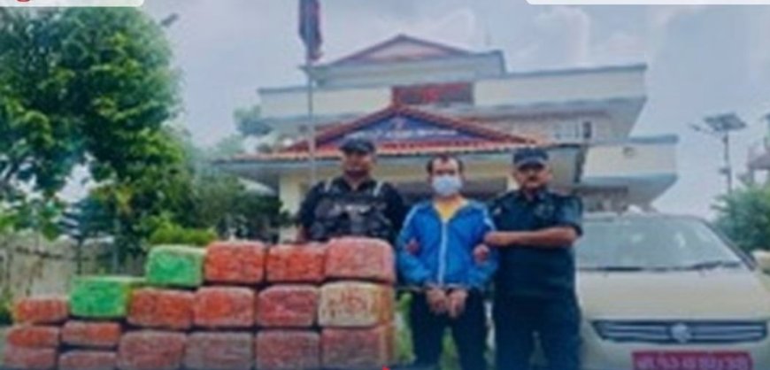 गाँजा बोकेको कार सिमरा प्रहरीकाे नियन्त्रणमा, १५५ किलो गाँजासहित चालक पक्राउ